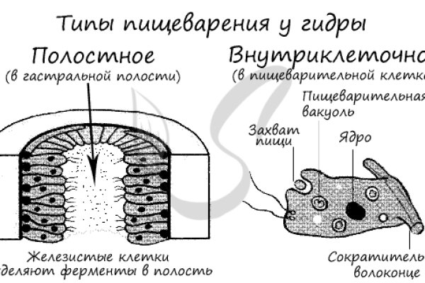 Кракен пользователь не найден что делать